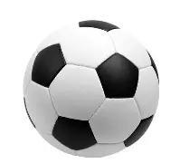 胡金秋荣膺,赛季,常规赛,亚博体育,亚博体育官网,亚博体育app,亚博体育下载