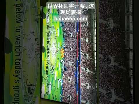 NHL,佛罗里达美,洲豹主场不,亚博体育,亚博体育官网,亚博体育app,亚博体育下载