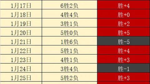 德甲第3轮对决：霍芬海姆迎战勒沃库森