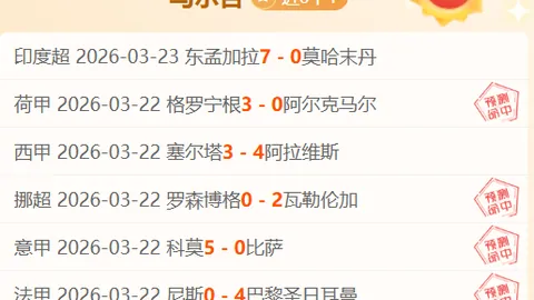 2025年世界杯：荷兰概览